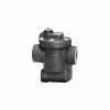 Hoffman Specialty® B0125A-2 Inverted Bucket Steam Trap 404182, 1/2"